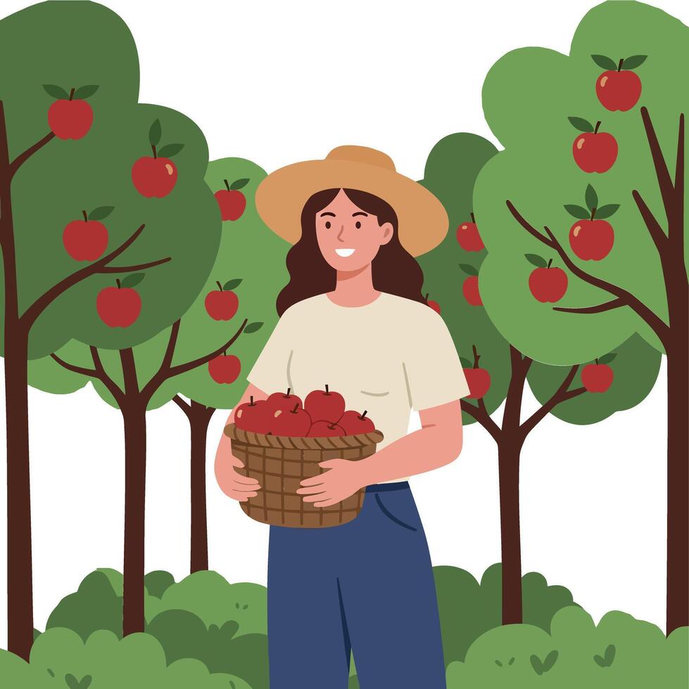 A woman in a sun hat joyfully harvesting apples in a green orchard, flat art vector