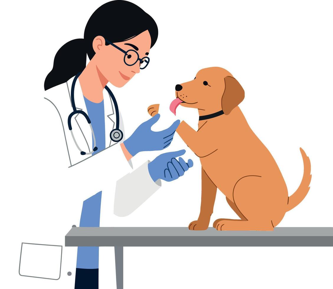 A veterinarian examining a playful golden dog with care in a bright, minimal illustration vector
