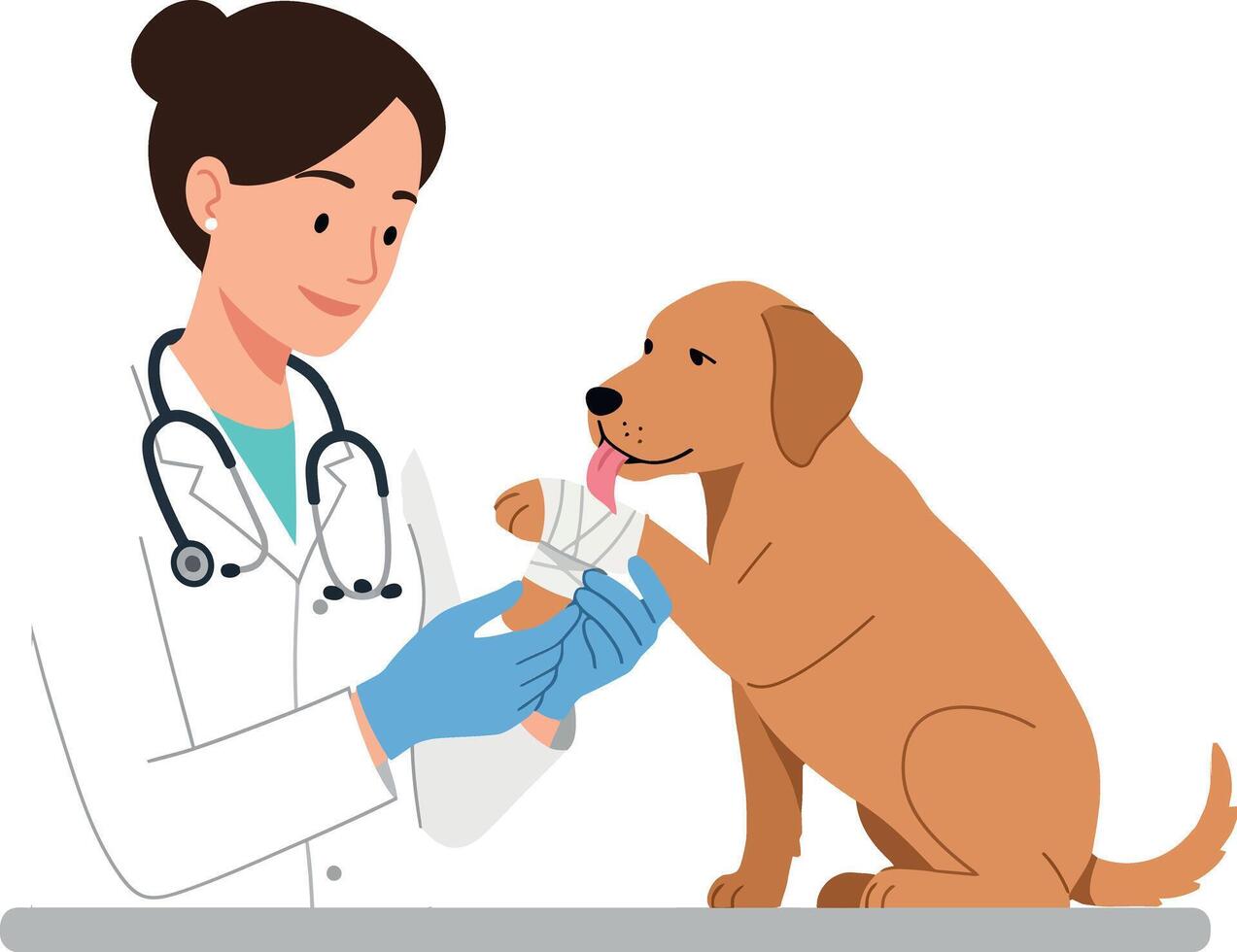 A veterinarian caring for a golden retriever puppy with a bandage in a flat, minimal style illustration vector
