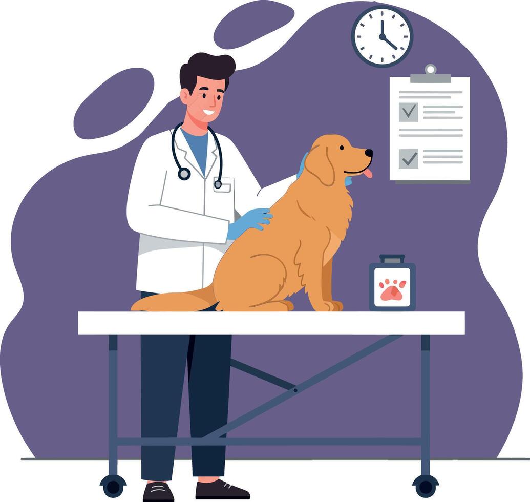 A veterinarian in a white coat examining a golden retriever on a table in a bright, cheerful veterinary office illustration vector
