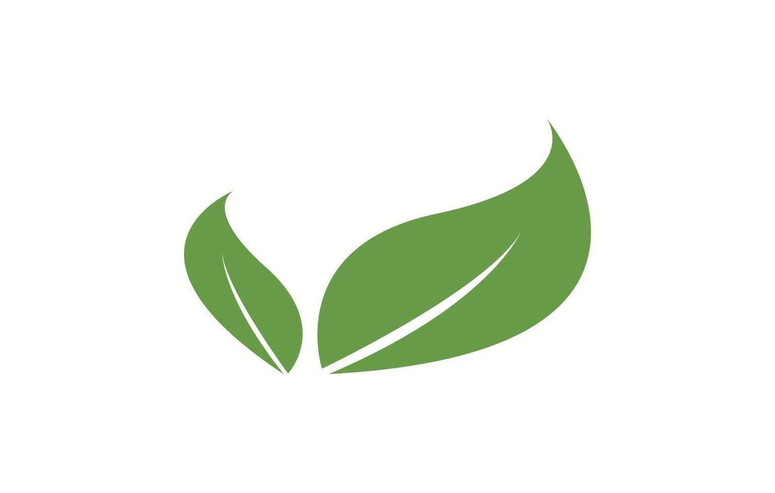 Green leaf logo icon. Eco leaf logo. Simple linear leaves of trees and plants. Elements for eco friendly and bio logo, vegan. Green leaves collection. Ecology leaf element. vector