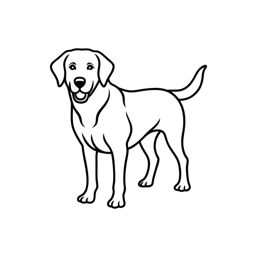 Labrador Retriever on White Background Friendly and Loyal Dog Breed Isolated vector