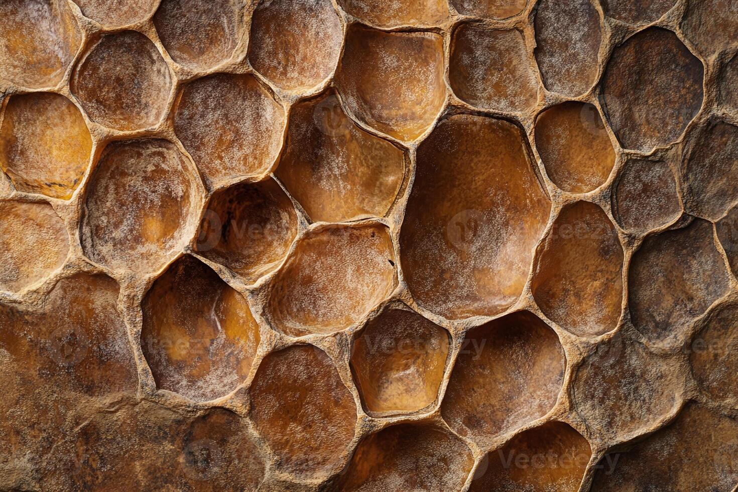 Closeup of Honeycomb Structure with Textured Golden Brown Hexagonal Cells for Natural Themes photo