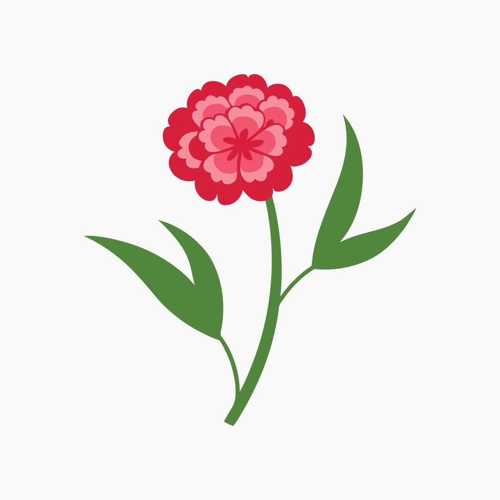 Sweet William Flower on White Background Vibrant Bloom for Floral and Botanical Designs vector