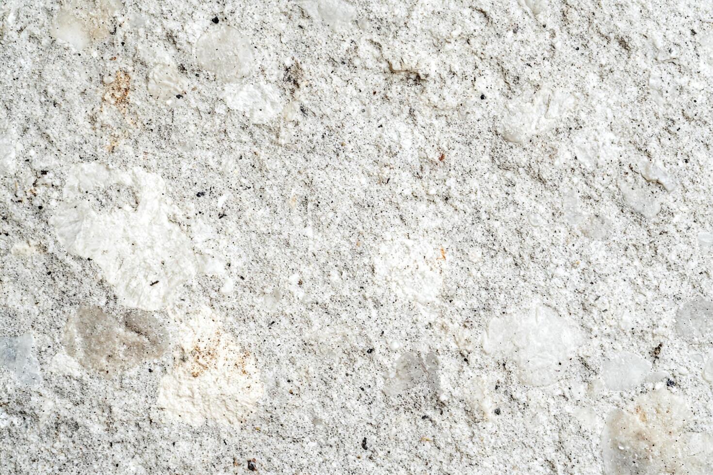 Rough White Stone Textured Surface with Fine Grain Details for Backgrounds and Designs photo