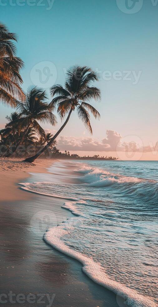 Tropical Palm Trees By Ocean Waves On Sandy Beach At Sunrise With Clear Sky Background photo