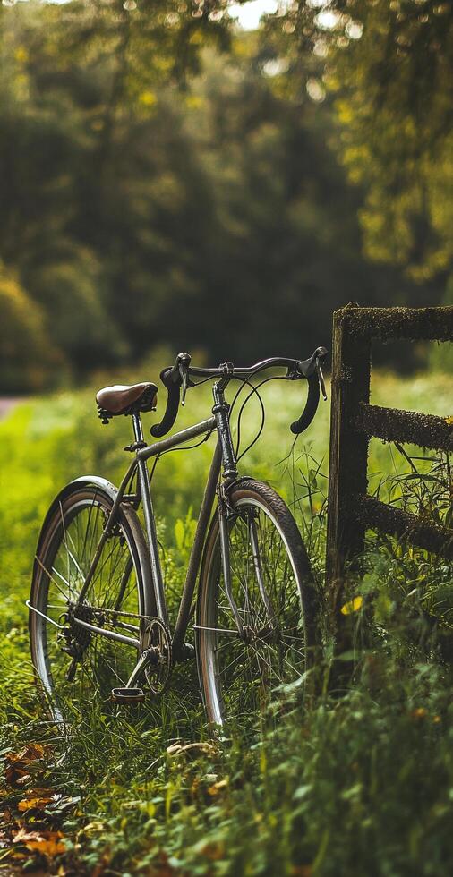 Vintage Bicycle Resting Against Wooden Fence in Serene Green Forest with Lush Grass photo