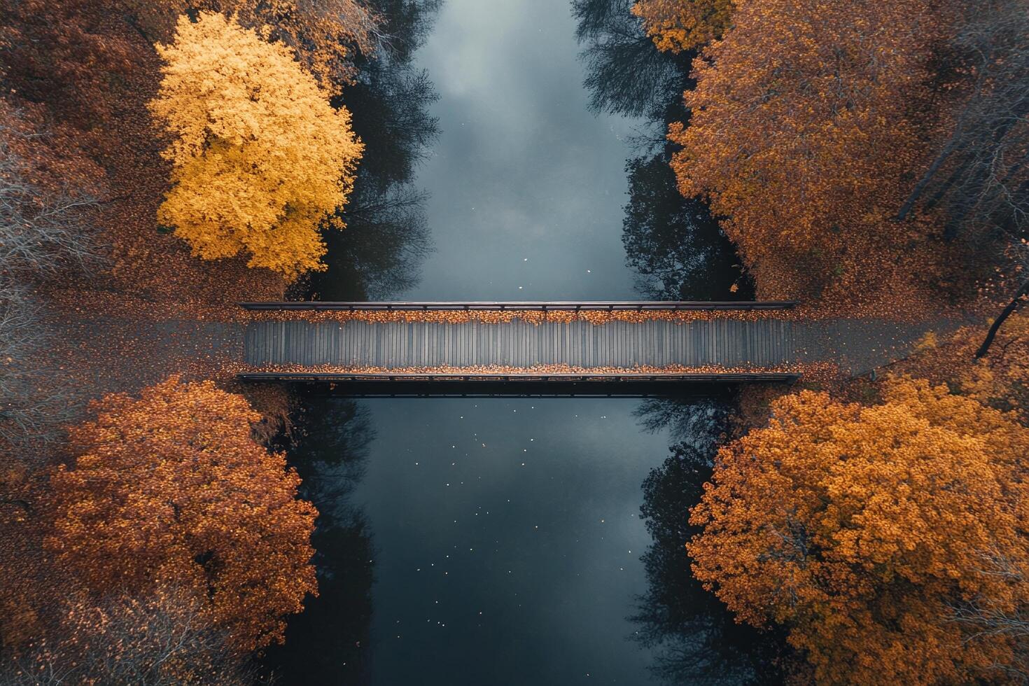 Aerial View of Wooden Bridge Over Calm River Surrounded by Vibrant Autumn Orange Trees in Serene Park photo