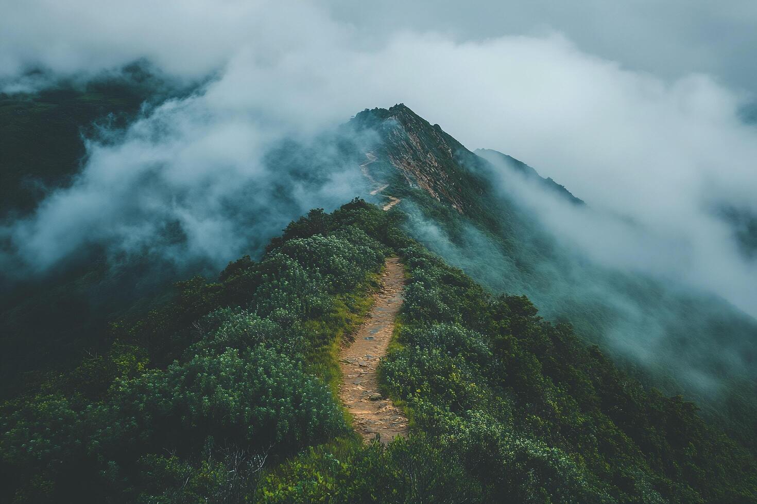 Foggy Mountain Ridge Hiking Trail Surrounded By Lush Greenery And Cloudy Sky In Serene Landscape photo