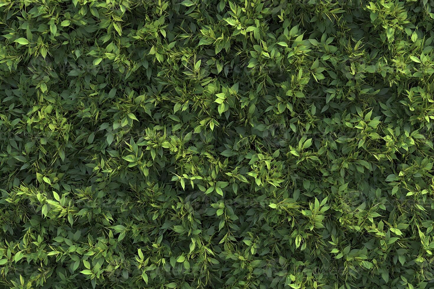 Dense Green Leafy Foliage Background Full Frame Nature Texture for Design and Decoration photo