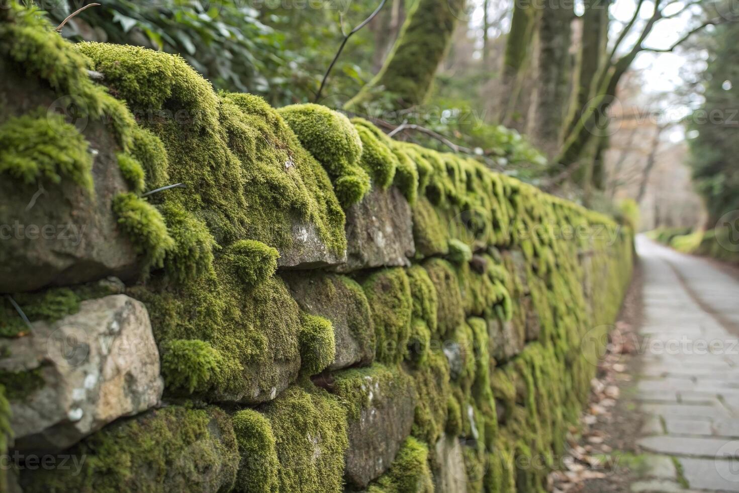 A stone wall covered in moss photo
