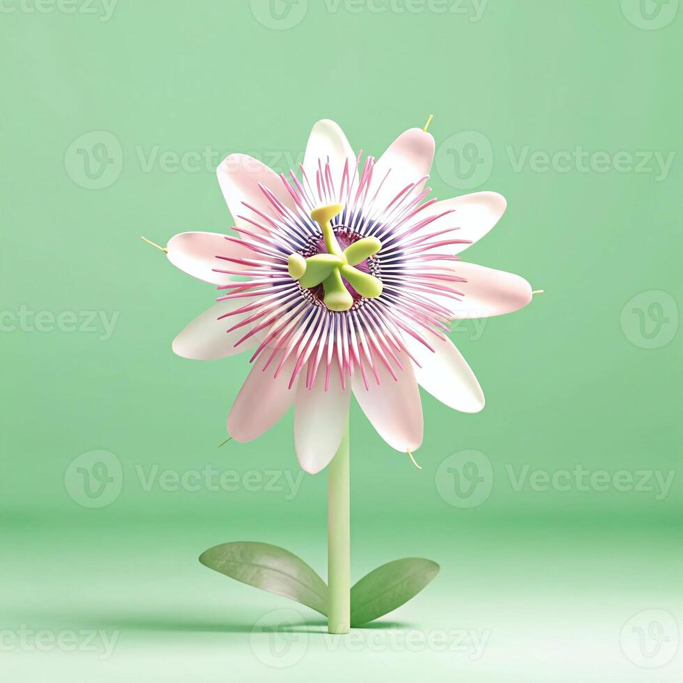 Passion flower by james kennedy photo