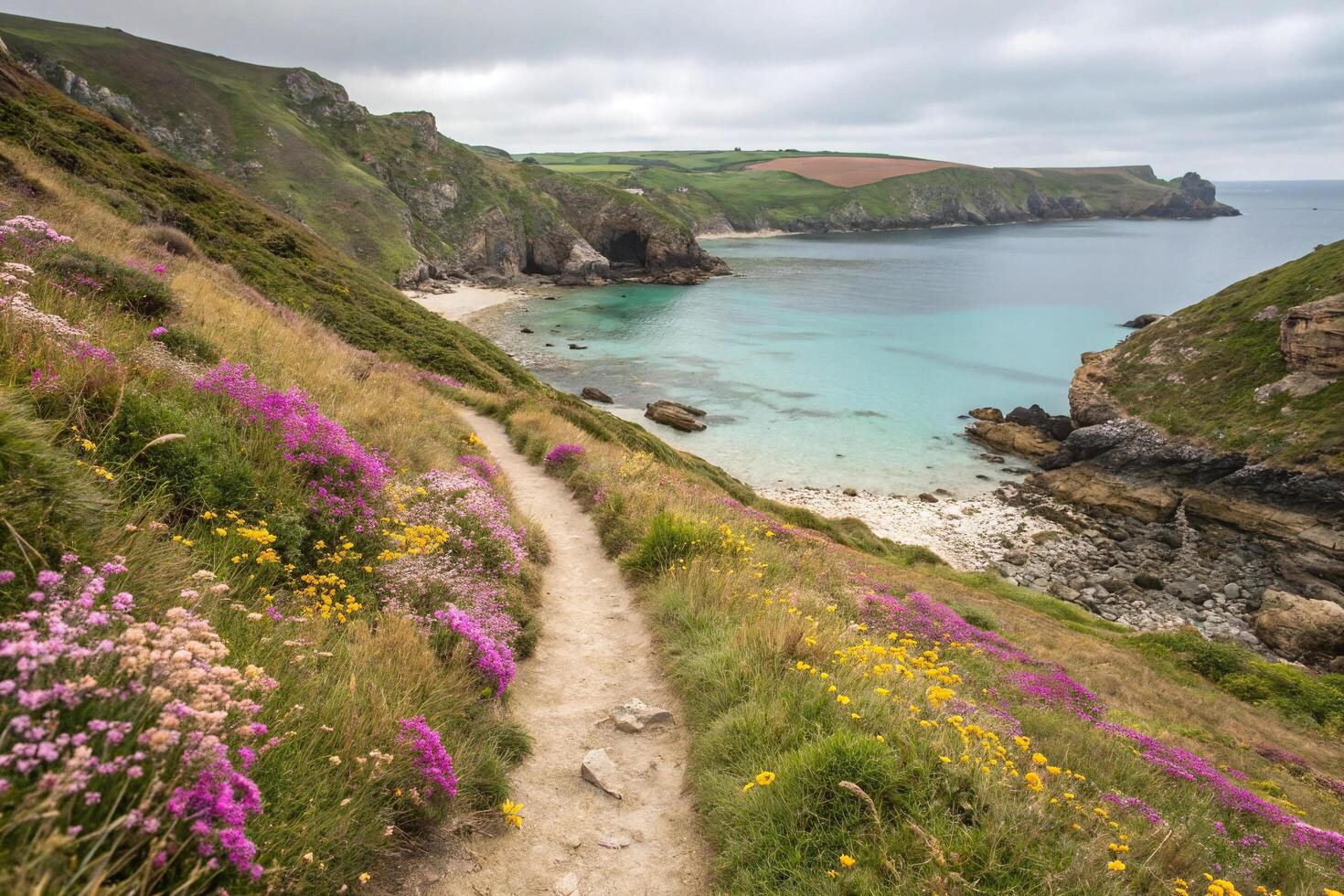 A path leads to a beach with wild flowers photo