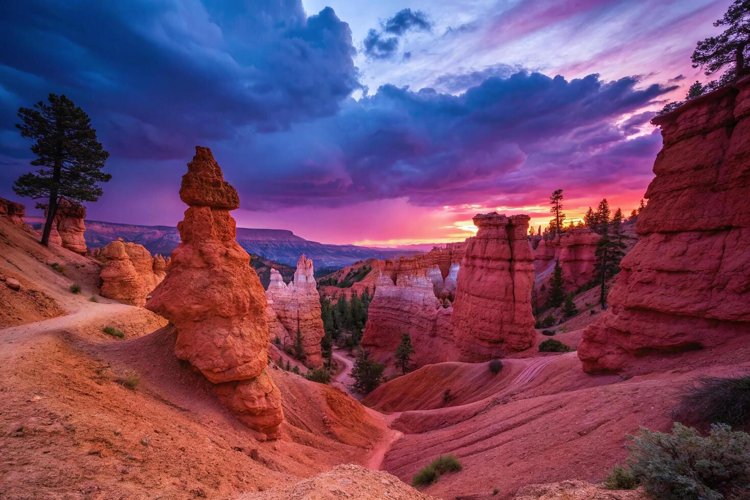 Bryce canyon national park, utah, usa - sunset photo