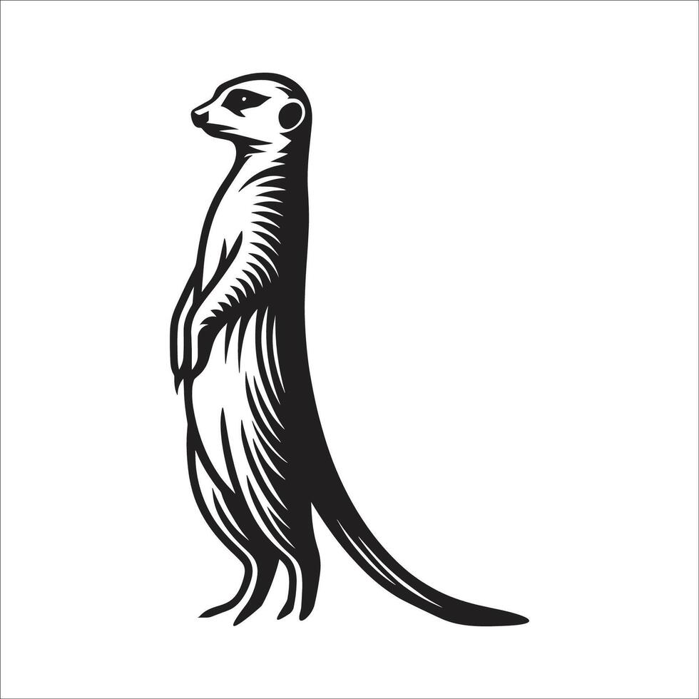 A black and white illustration of a meerkat vector