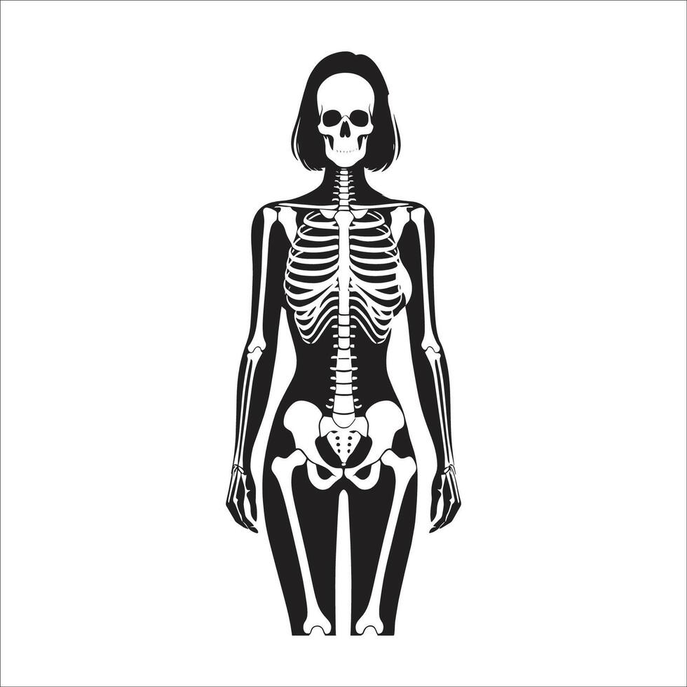 A woman skeleton is shown in silhouette on a white background vector