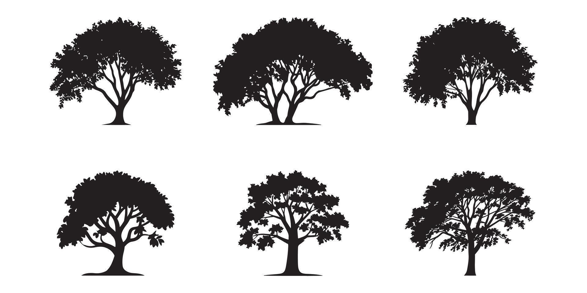 Classic Tree Shape Illustration set on white background vector