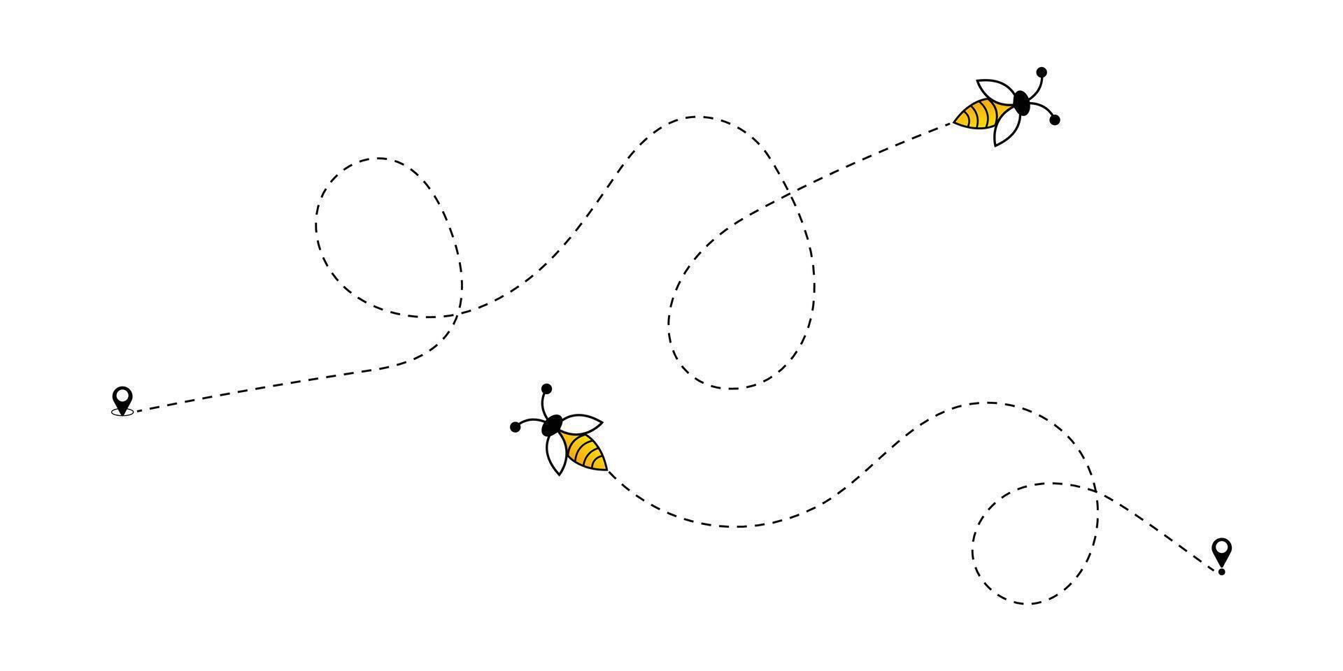 Bees on a Dotted Flight Path on a White Background. Flying Bees Path. vector