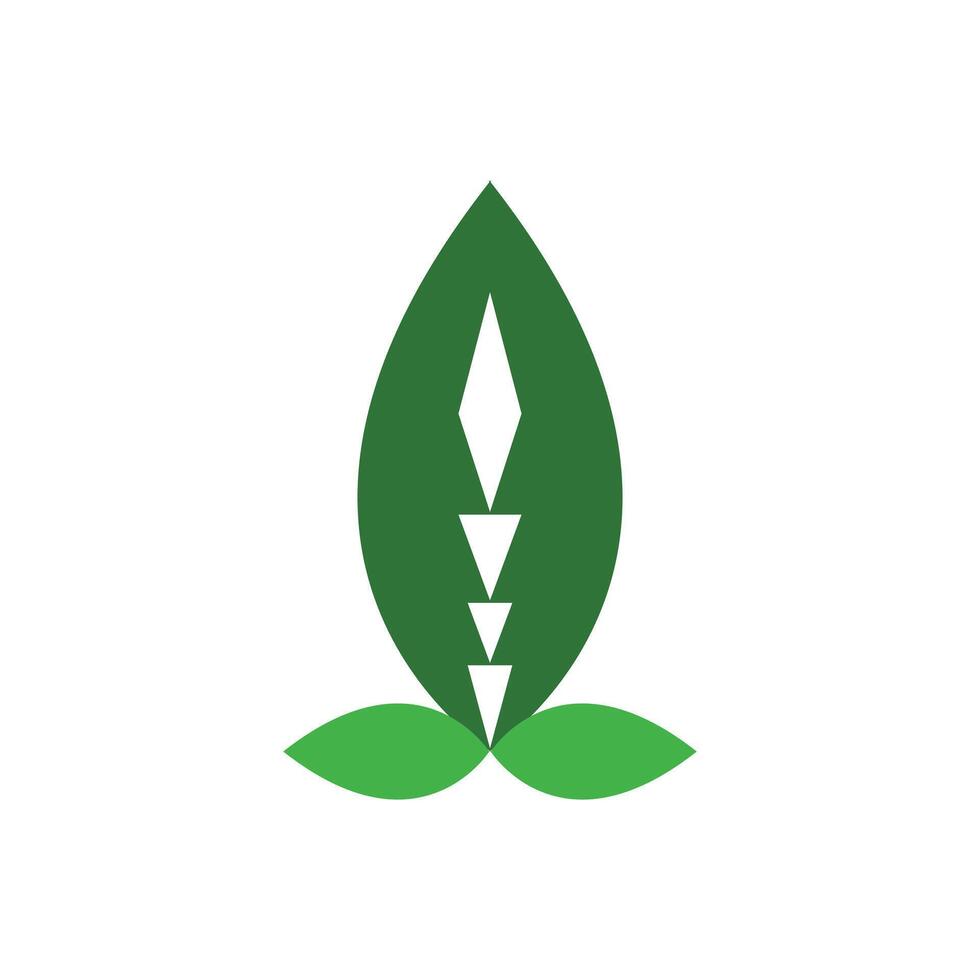 Green leaf logo design. Nature Growth Leaf logo. vector