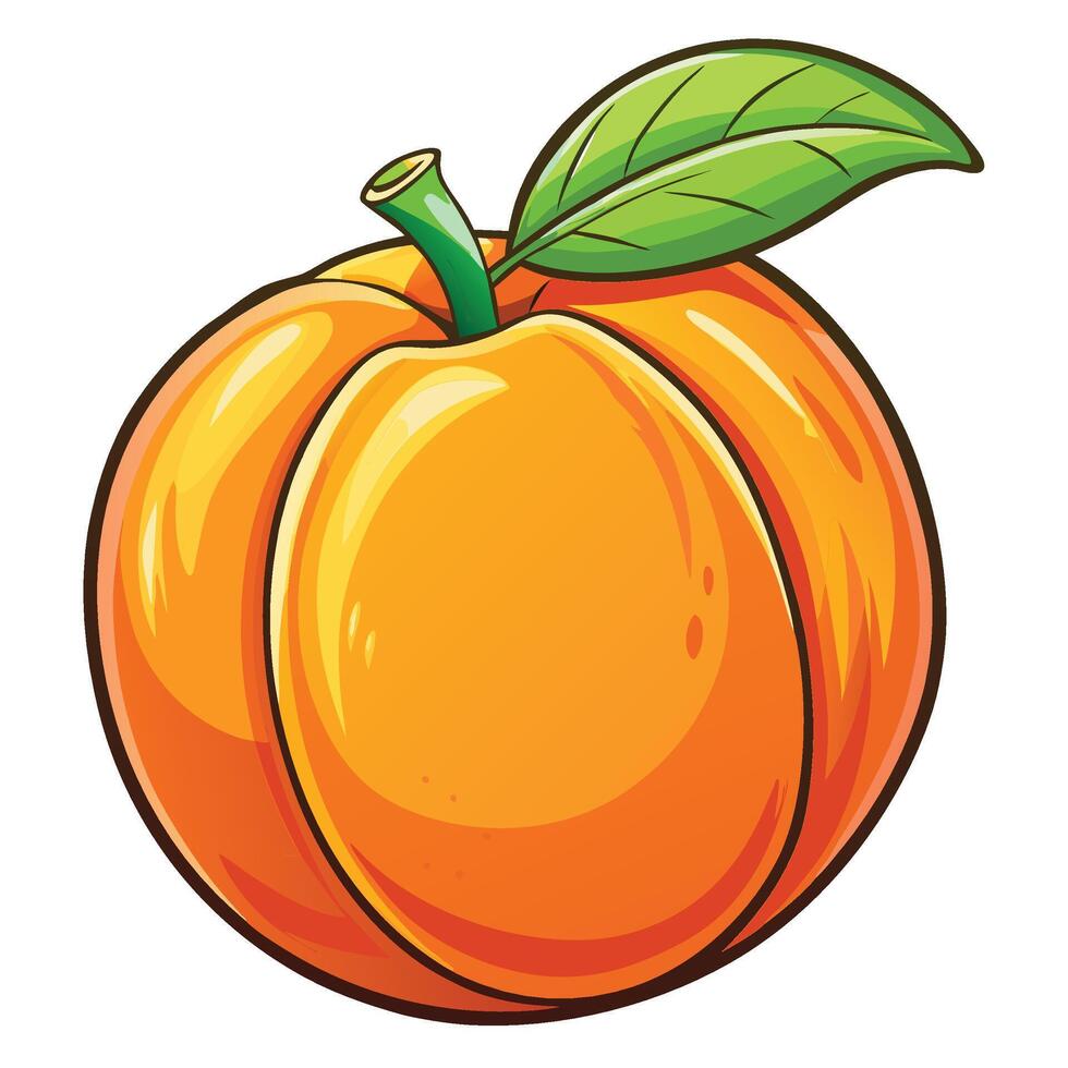 an orange fruit with a green leaf on vector