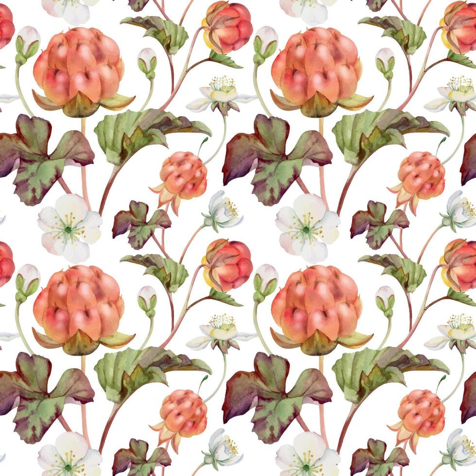 Cloudberry raspberry with autumn leaves, white flowers hand drawn in watercolor, red ripe forest berry on stems. Seamless pattern textile illustration. Restaurant, cafe menu, wedding, farmers market vector