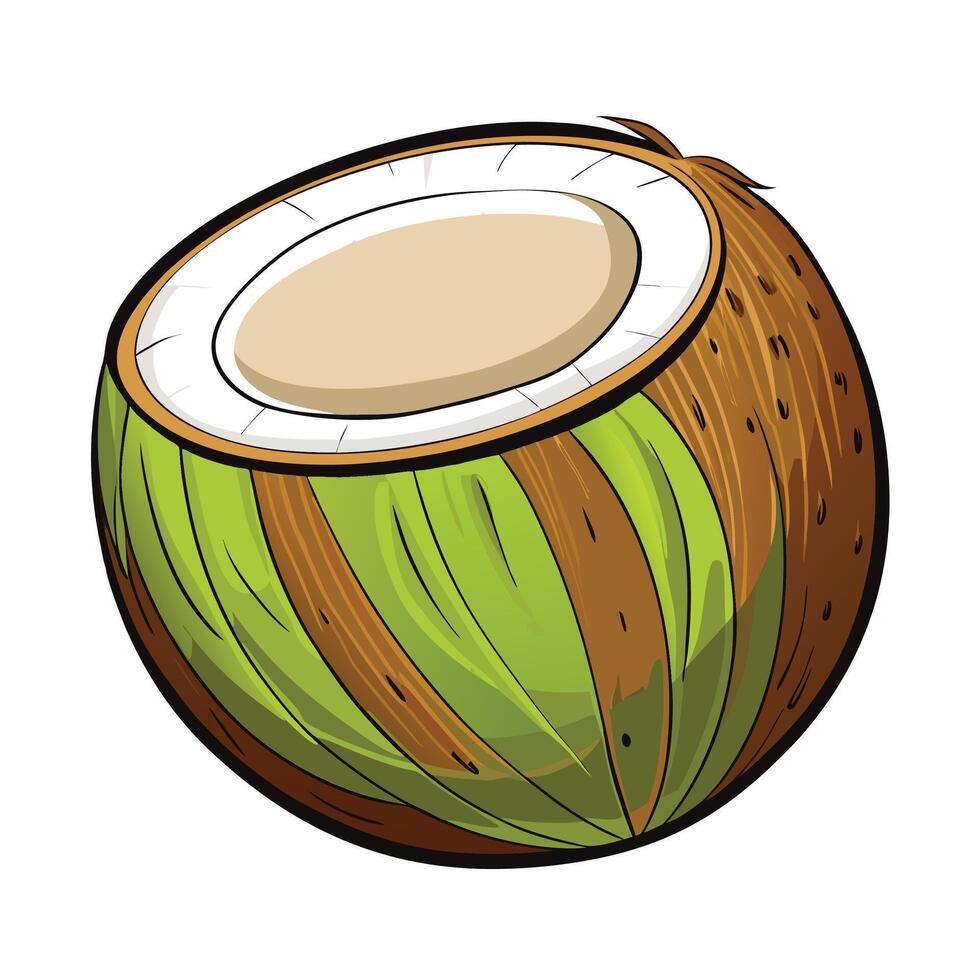 coconut illustration isolated on white background vector
