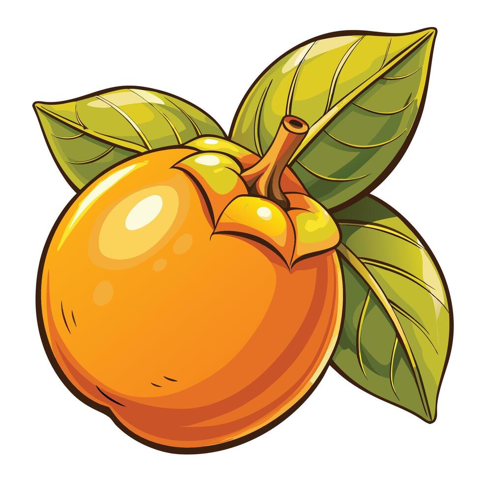 an orange fruit with leaves and a green stem vector