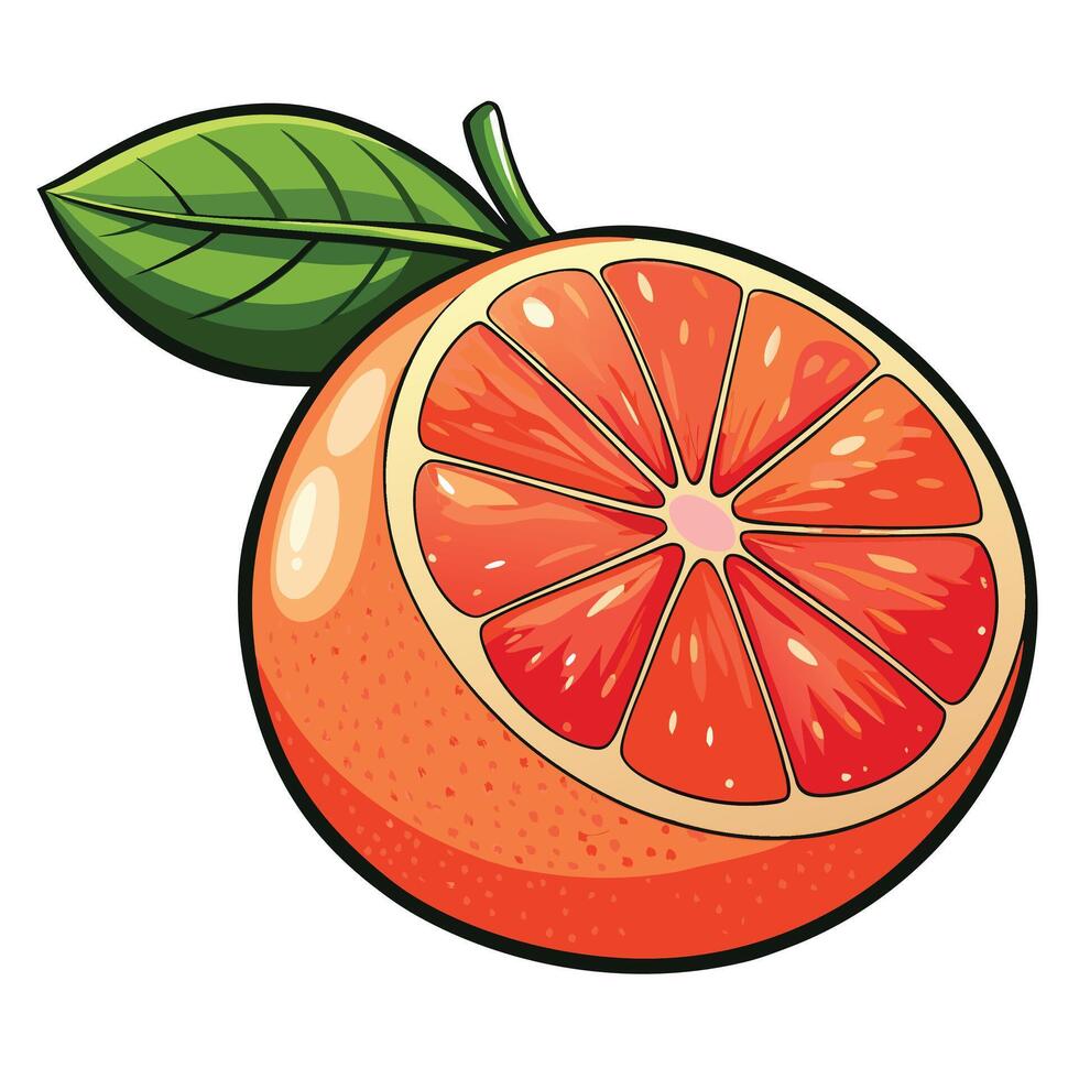 an orange with a leaf it white background vector