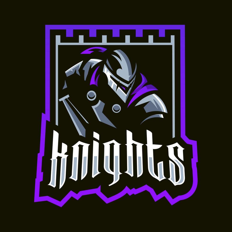 Knight holding sword in castle frame vector