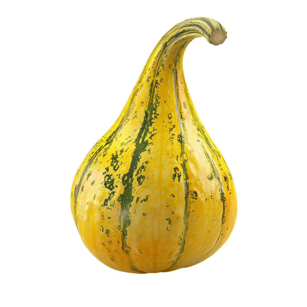 A Yellow Squash On A Transparent Background. png