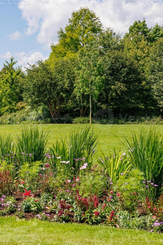 german garden at summer time photo