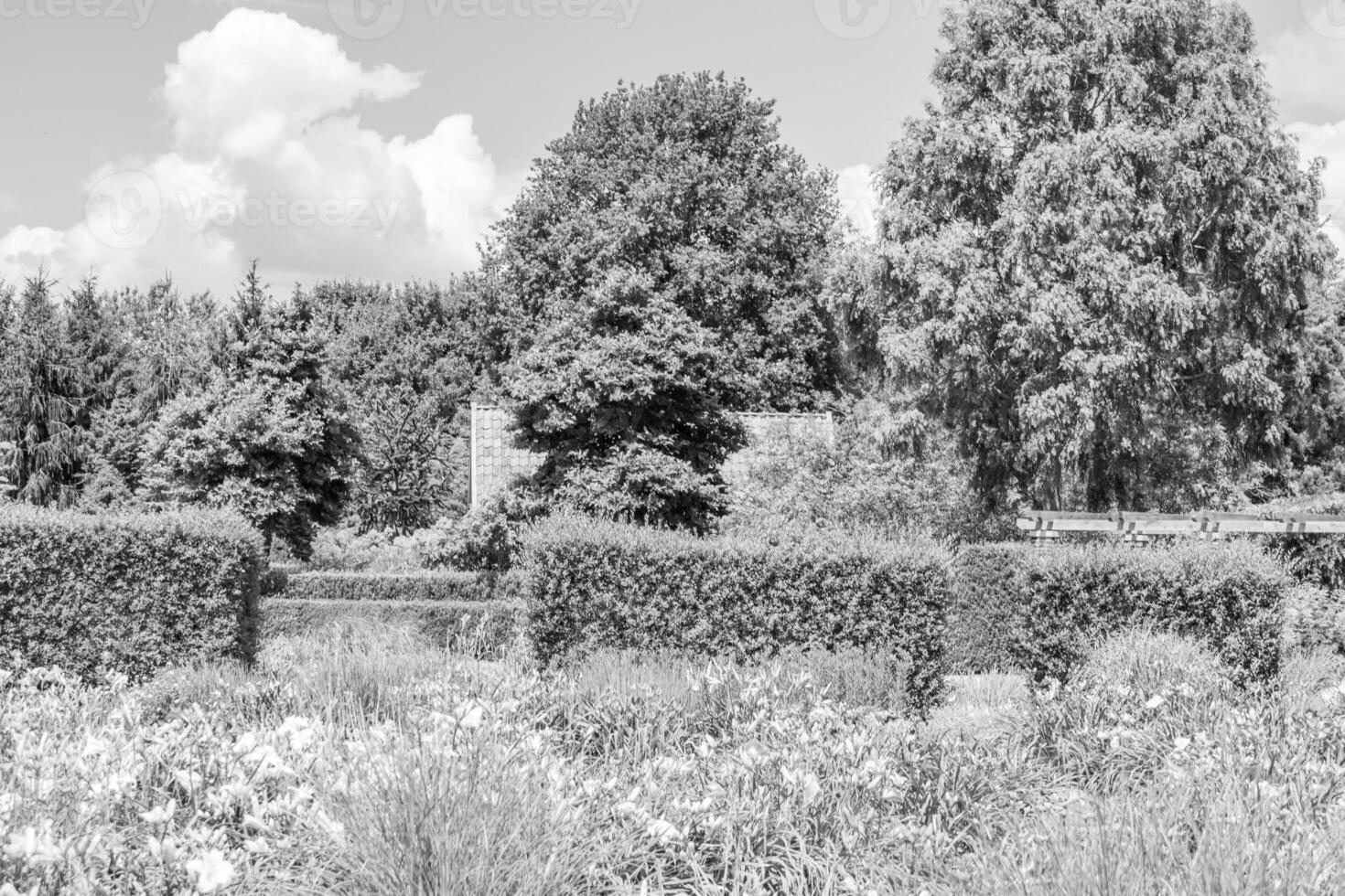Big Garden in germany photo