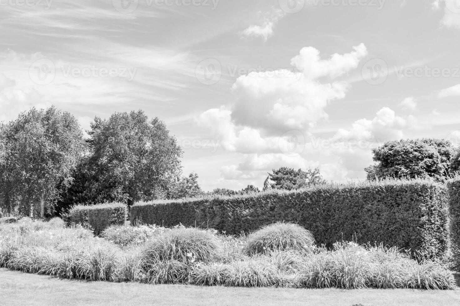 Big Garden in germany photo