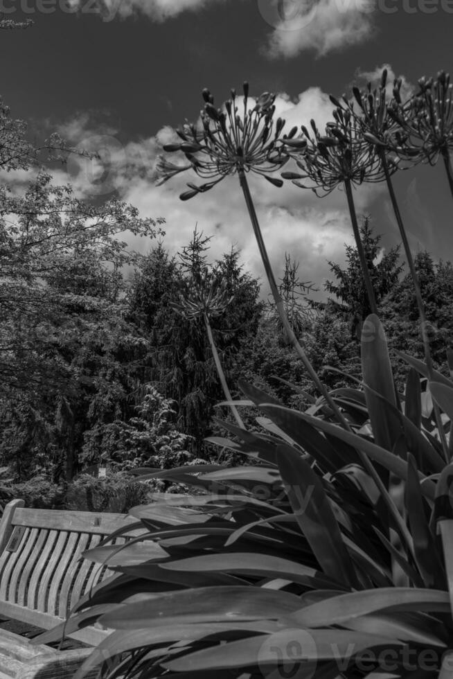 Big Garden in germany photo