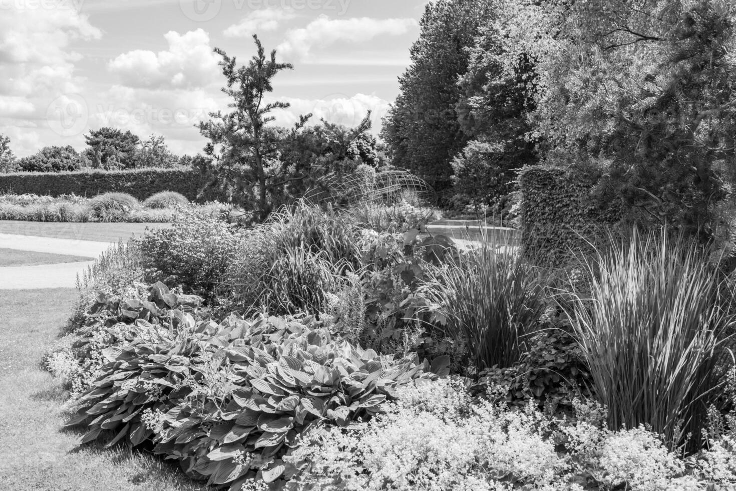 Big Garden in germany photo