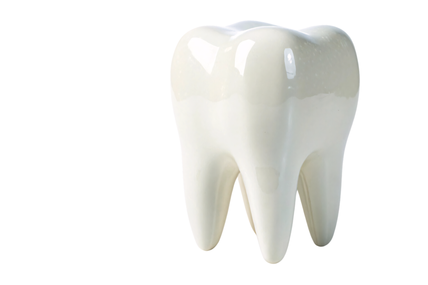 A glossy ceramic tooth model with intricate details. Its smooth texture highlights the anatomy of a molar, perfect for educational or decorative use png