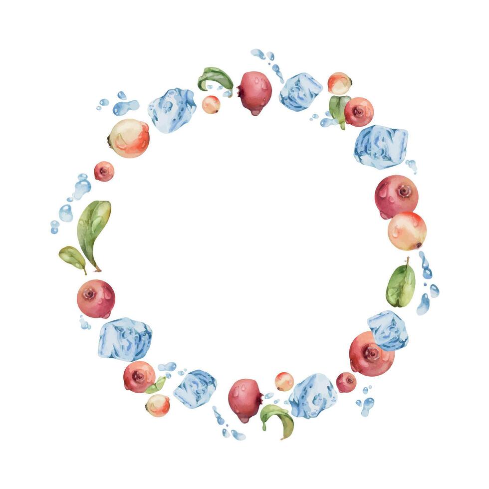 Cranberry lingonberry flying in water splash with ice cubes, drops and green leaves, hand drawn in watercolor, ripe forest berry. Isolated circle wreath frame for restaurant, cafe menu, farmers market vector
