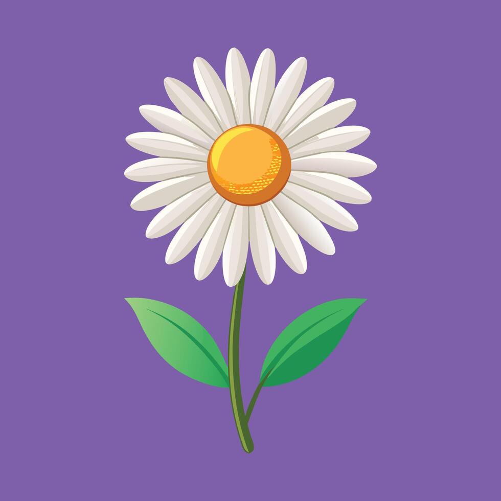 a daisy on a purple background vector