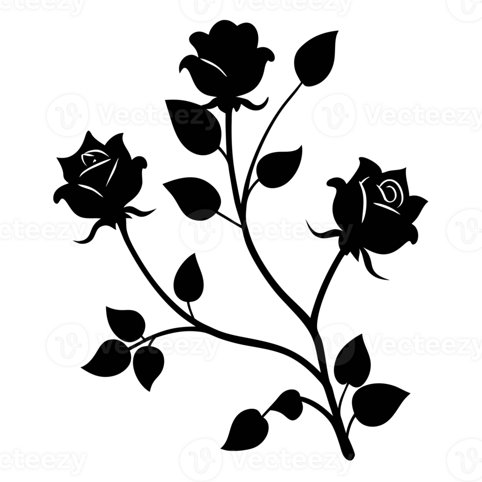 Silhouette three roses with curving stems and leaves create a striking contrast. cutouts png