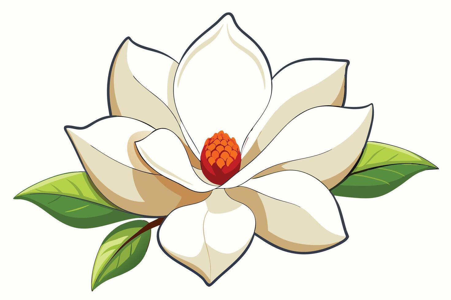 A Beautiful Magnolia Flower Illustration in Adobe Illustrator vector