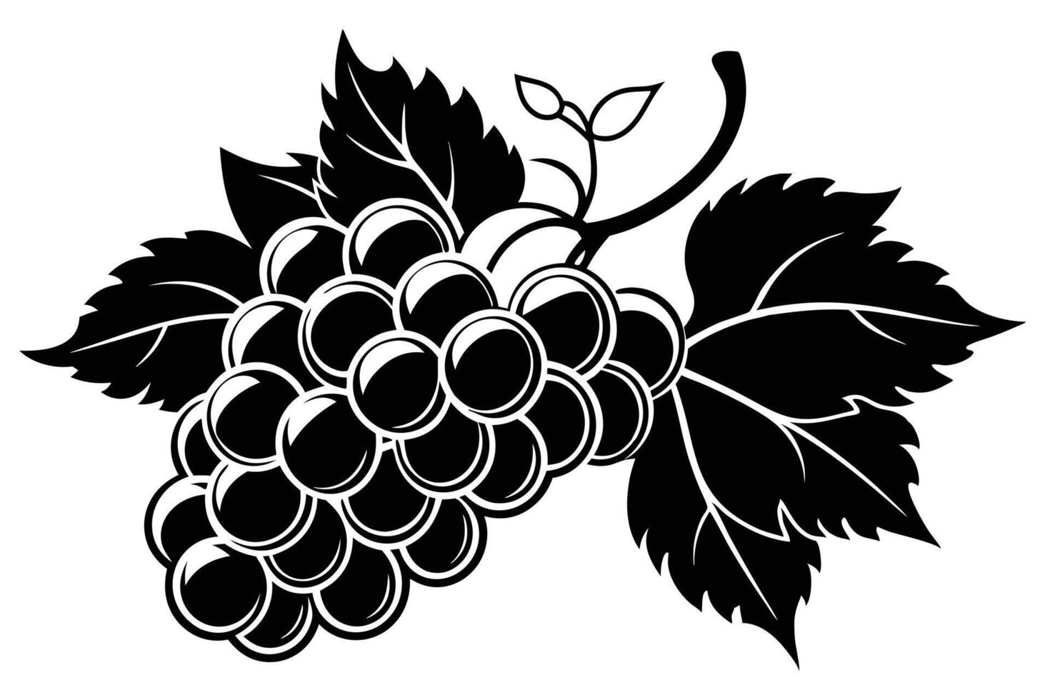 Elegant Black and White Silhouette of Grapes and Leaves vector