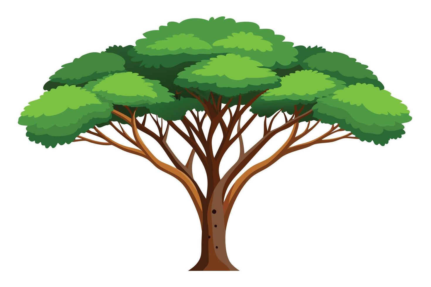 A illustration of a lush, full-bodied tree. vector