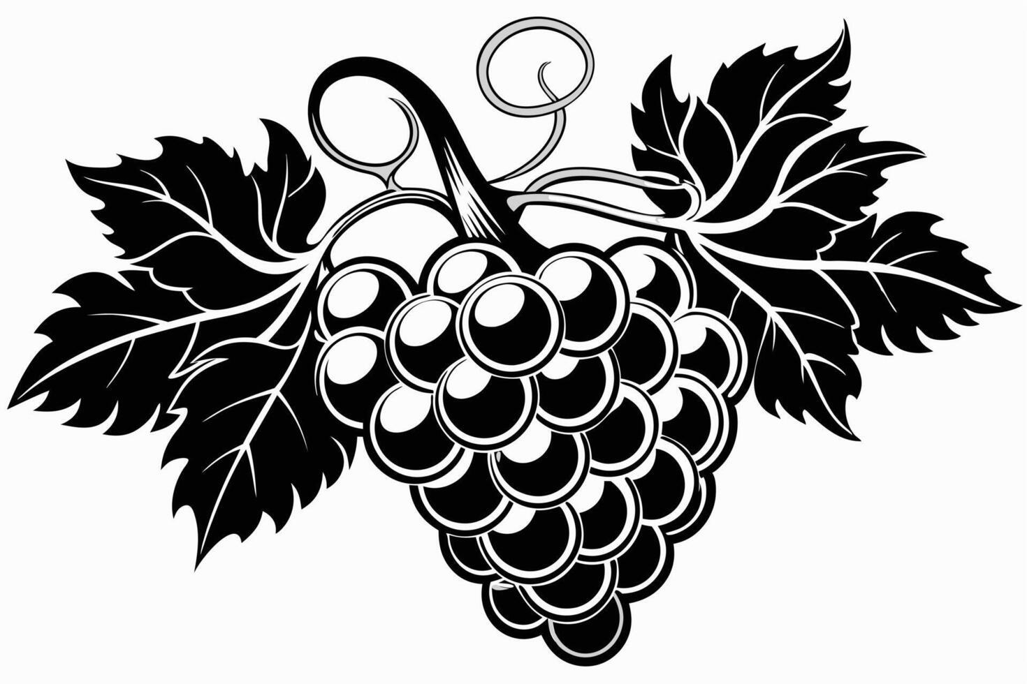 A Elegant Black and White Silhouette of Grapes and Leaves vector