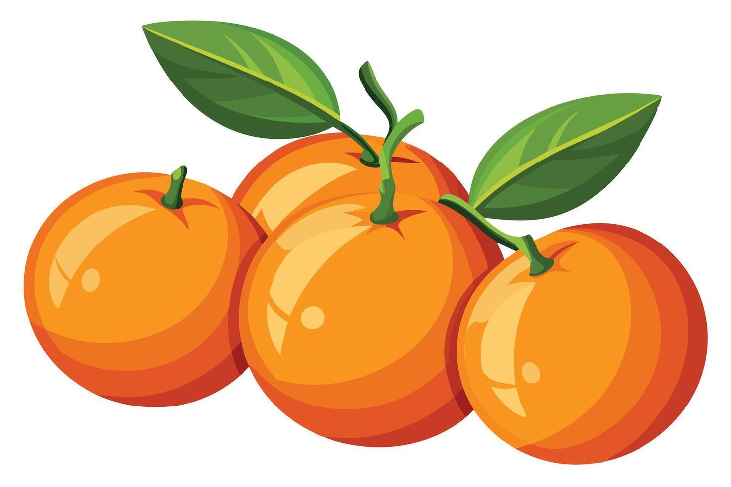 Vibrant illustration of three juicy tangerines. vector