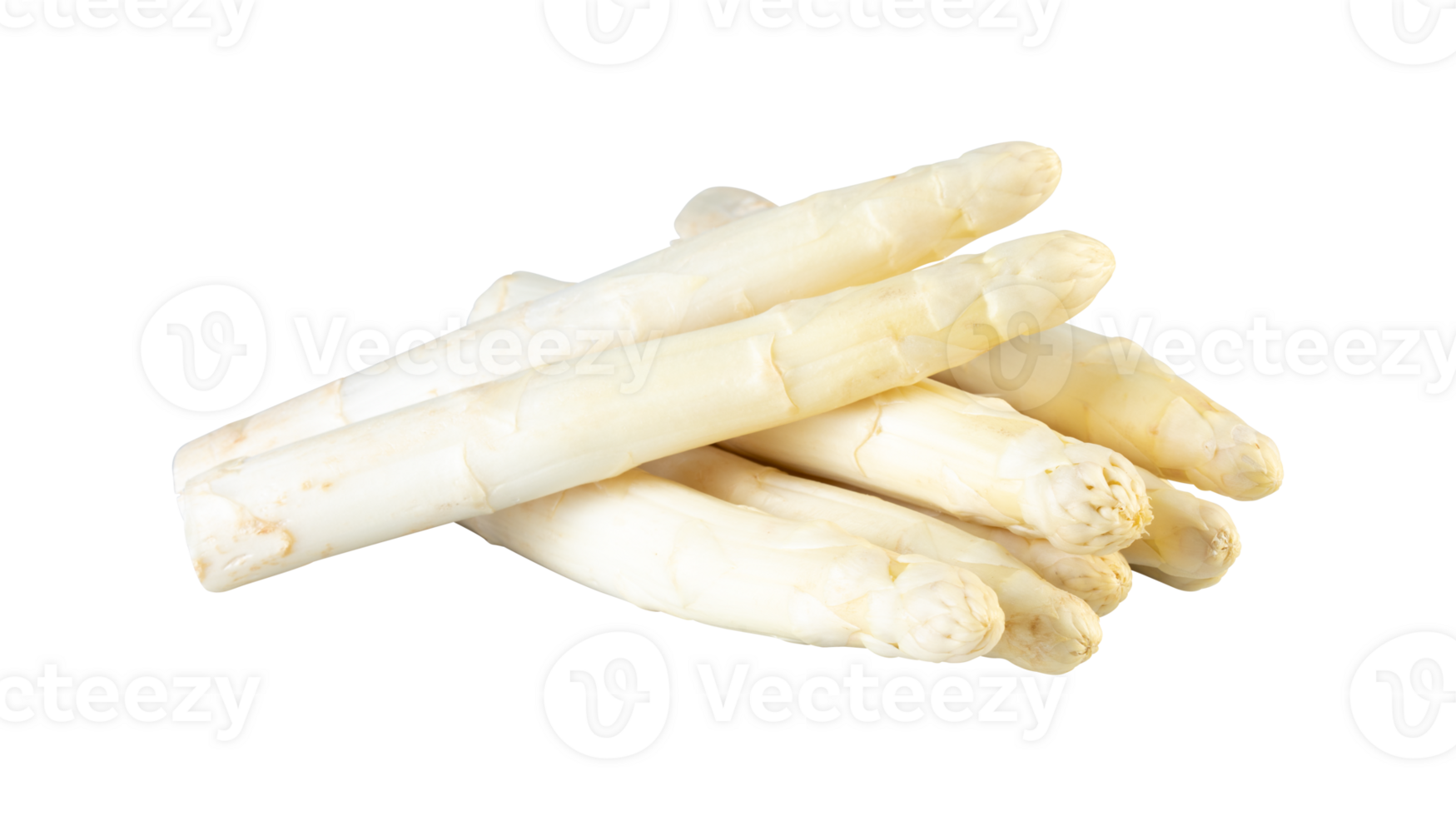 asparagus cut out isolated transparent background png