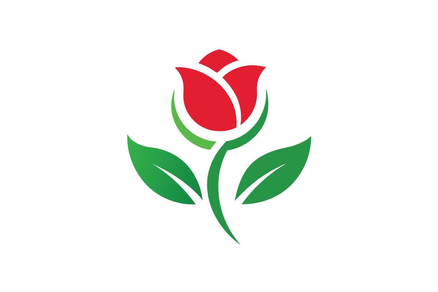 A Elegant red rose logo design on a white background. vector