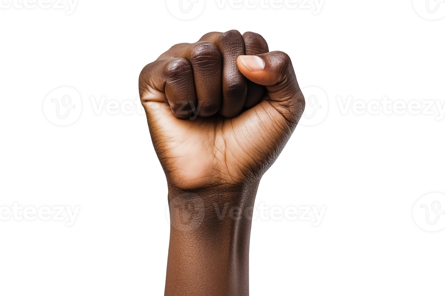 A raised fist symbolizing strength and unity in social movements. png