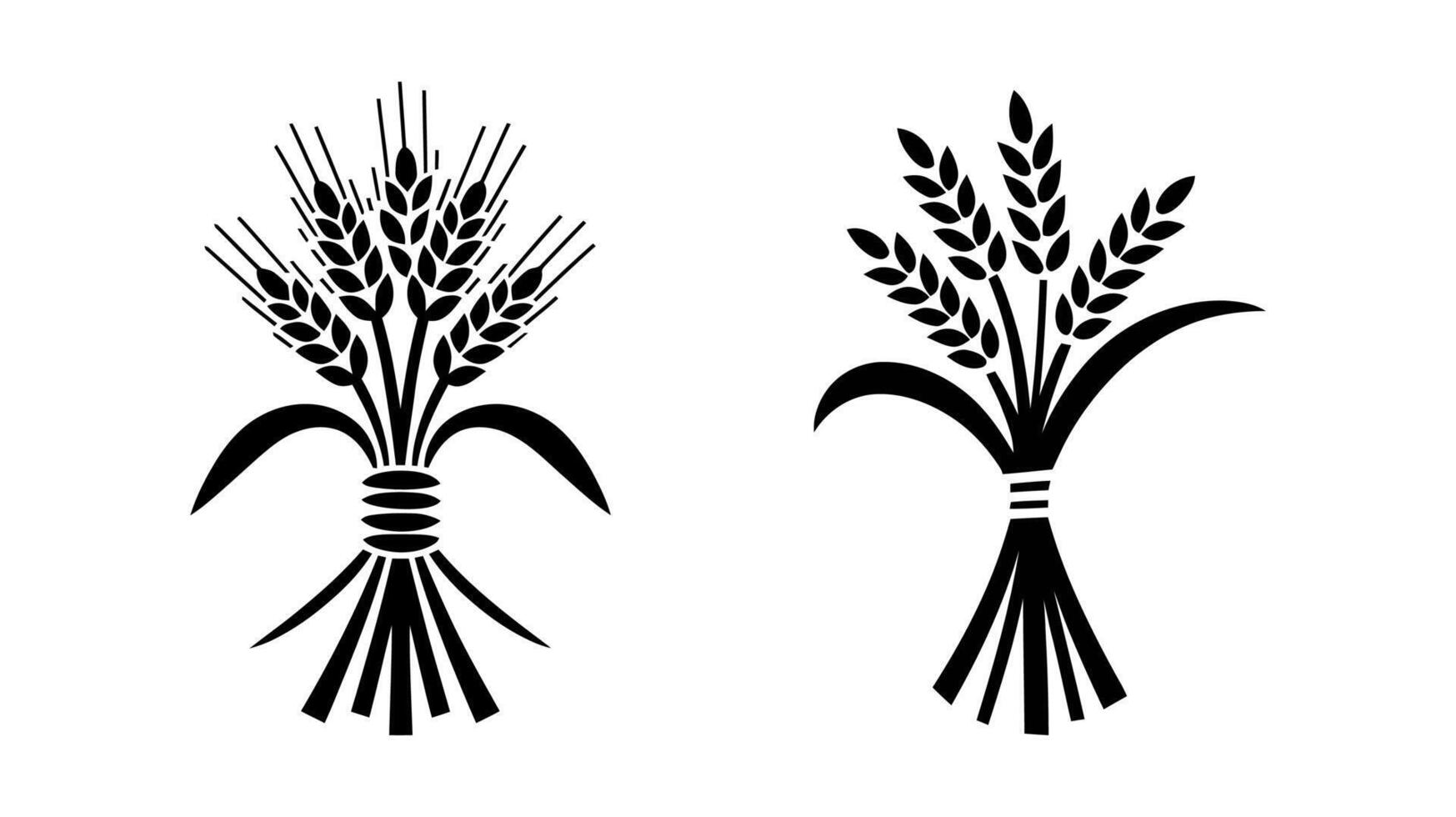 Simple black and white wheat sheaf Illustration vector
