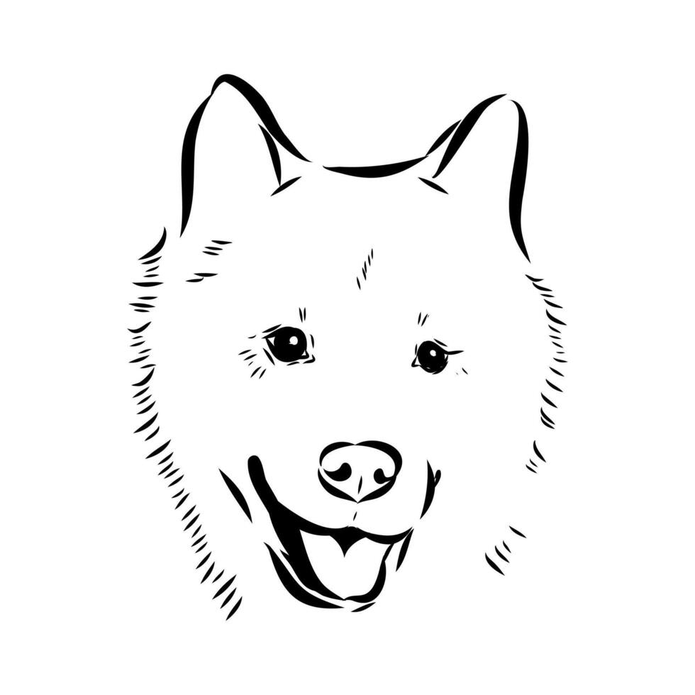 dog head thai bangkaew vector