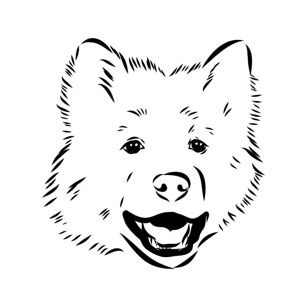 Thai bangkaew dog head black and white sketch vector